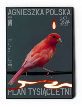 Plakat do wystawy Agnieszki Polskie  Plan Tysiącletni    B2 MSN